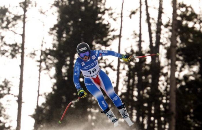 Esquí alpino – Copa del Mundo. Laura Gauché abrirá el descenso de Beaver Creek, dorsal 7 de Sofia Goggia