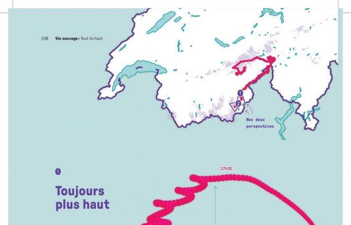 Libro: cien infografías cuentan la historia de las montañas suizas