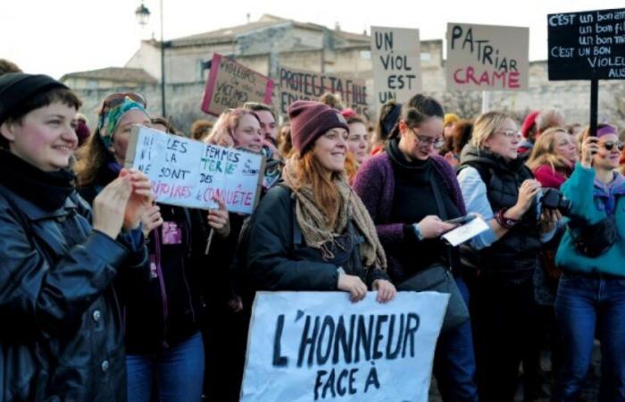 “Violaciones, a vosotros os toca tener miedo”: manifestación feminista en Aviñón: Noticias