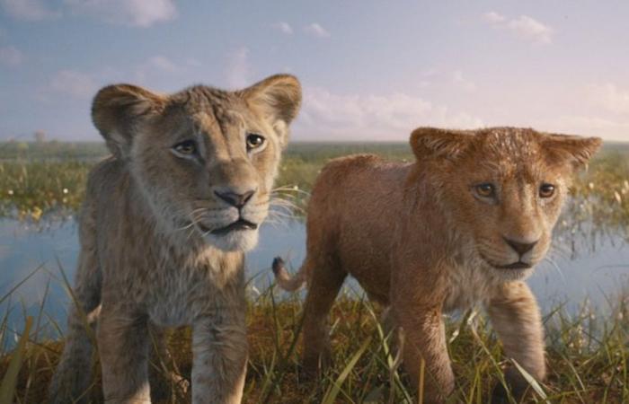 Detrás de escena de Mufasa: El Rey León, el último gran acontecimiento cinematográfico del año: “Nadie nace bueno, nadie nace malo”