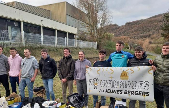 Diez jóvenes pastores de Aveyron seleccionados para participar en el evento regional Ovinpiades