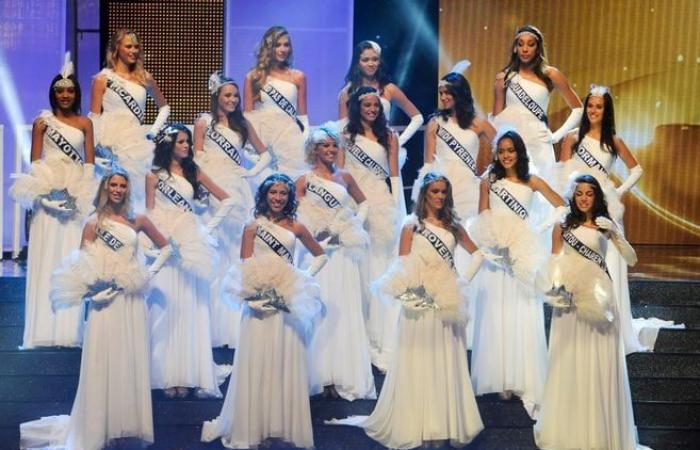 Jean-Pierre Foucault, Kev Adams, Patrick Bruel, Camille Cerf: en diciembre de 2014, se celebró en Orleans la elección de Miss Francia