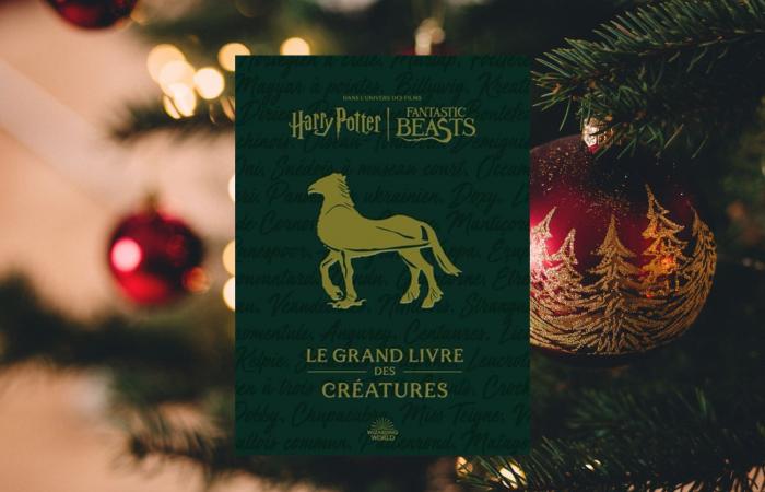 6 ideas de regalos para los fans de Harry Potter