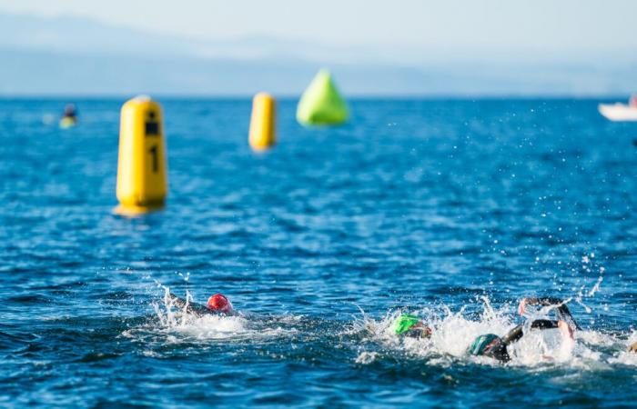 Día de las Damas en Taupo: resumen de la carrera profesional femenina en palabras e imágenes