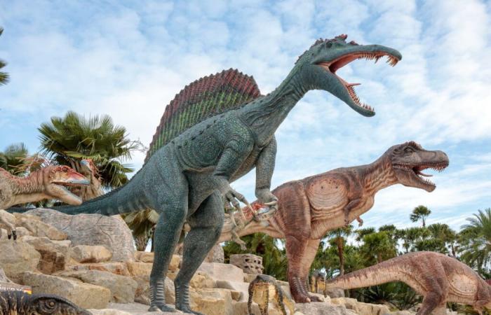 “Un descubrimiento sorprendente…” Lo encontrado en estos excrementos de dinosaurios no se esperaba