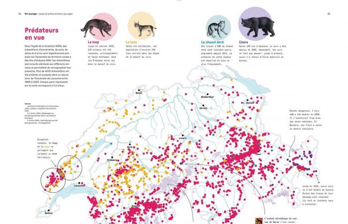 Libro: cien infografías cuentan la historia de las montañas suizas