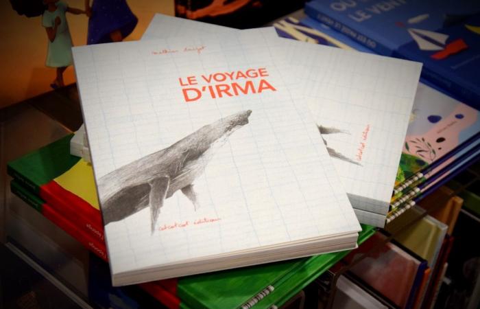 T. rex, chipolatas, prout y road trip: 10 libros infantiles de Bruselas tan bonitos como camiones, para ofrecer a tus hijos de 3 a 15 años