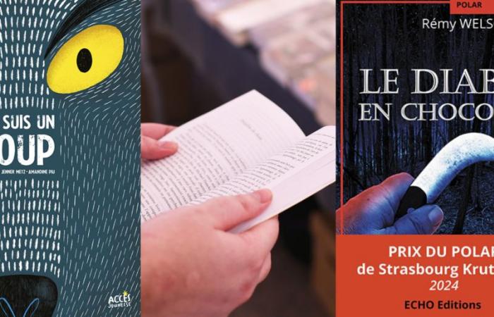 13 libros 100% estrasburgueses y alsacianos para ofrecer en Navidad