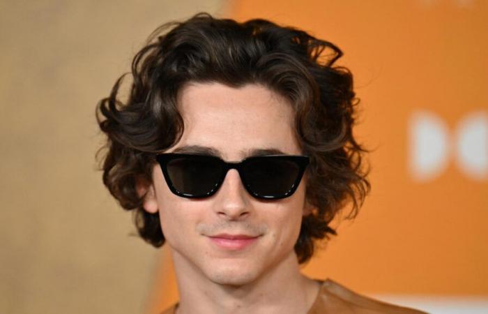 Timothée Chalamet aparece con un flamante look en el estreno de “Un perfecto desconocido”