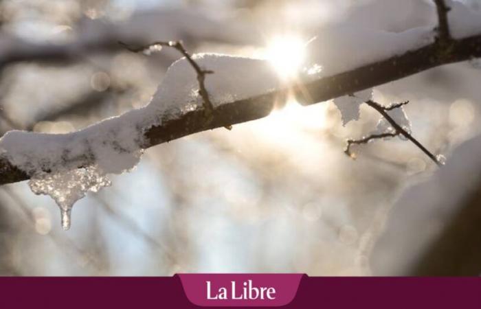 Se pronostica nieve en Bélgica: ¿qué debemos esperar?