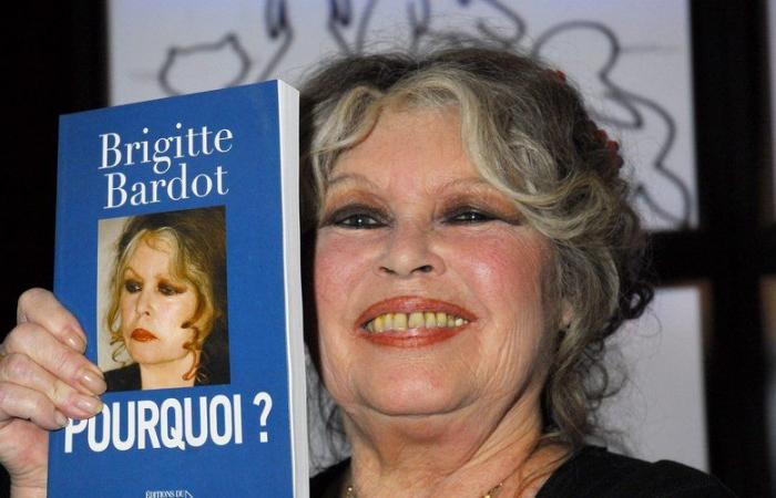 “Por esta fibra de m…”: Brigitte Bardot aislada del mundo en su segunda casa por un importante corte de Internet