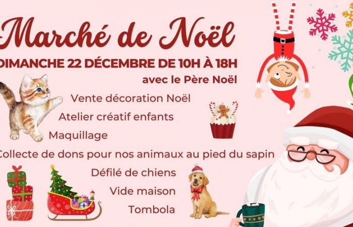 Sainte-Livrade-sur-Lot. El refugio Inaya organiza su primer mercadillo navideño