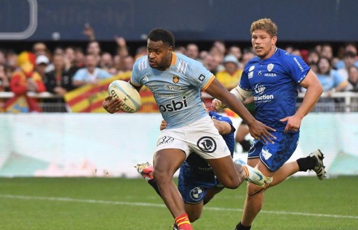 Rugby – Challenge Cup: frente a los irlandeses de Connacht, la USAP puede continuar su avance europeo recuperando la serenidad antes de París