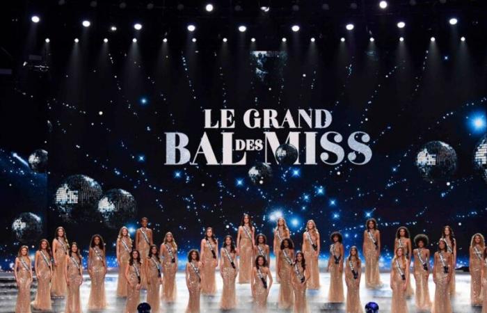 Estos contratiempos de Miss Nord-Pas-de-Calais y otras candidatas pasaron casi desapercibidos en TF1