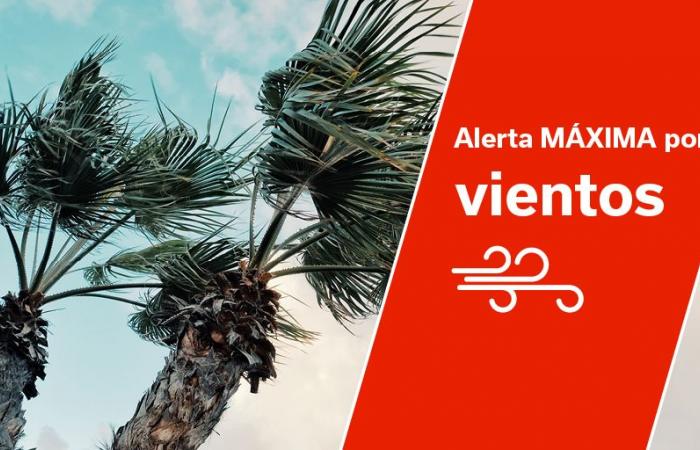 Activación del Plan de Emergencias Municipal de El Sauzal, por fenómenos metereológicos adversos – 14.12.2024