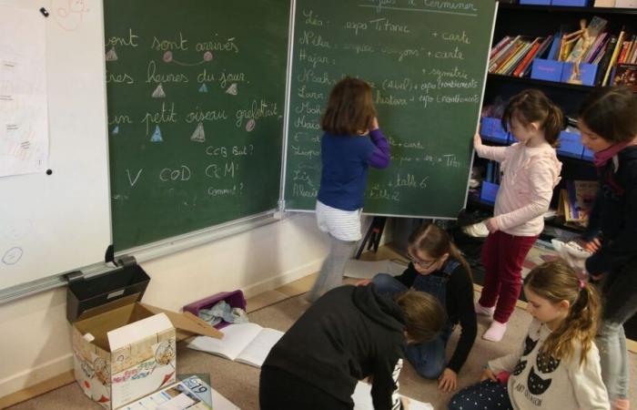 Besançon: la escuela Montessori en dificultades financieras lanza una convocatoria de donaciones