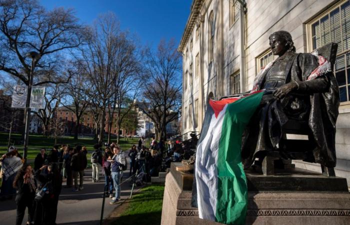 Harvard: balance de un año de antisemitismo después del 7 de octubre – académicos