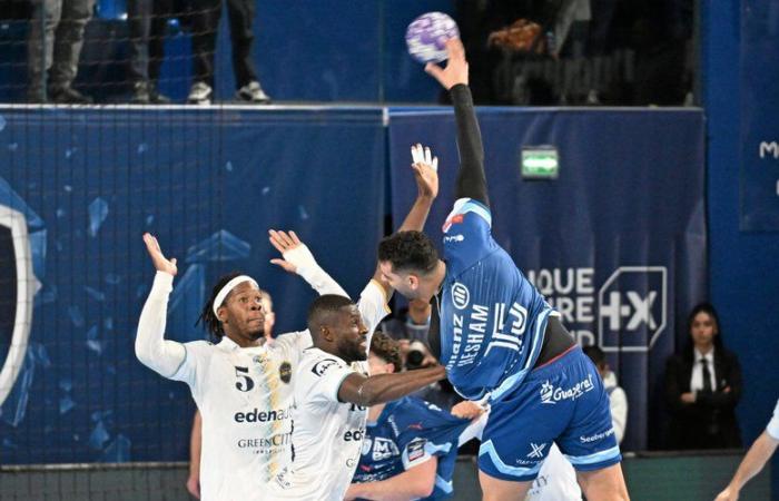 Starligue: controlado por Toulouse al conceder el empate, el MHB se dispara en el pie