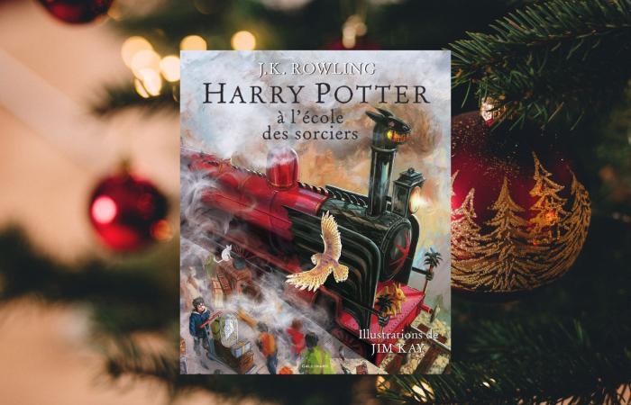 6 ideas de regalos para los fans de Harry Potter