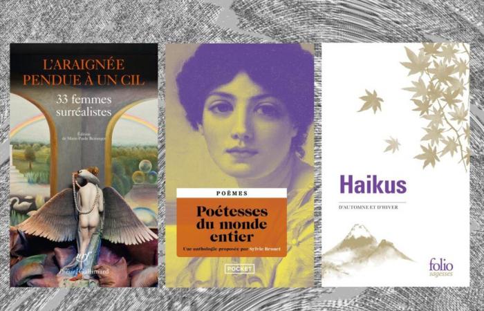 mujeres surrealistas, mujeres poetas, haikus