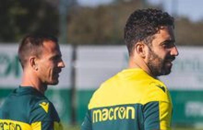 Francisco Trincão: el jugador modelo fuera del campo que ayudó al Sporting de João Pereira a volver a la senda del triunfo – Estrelas