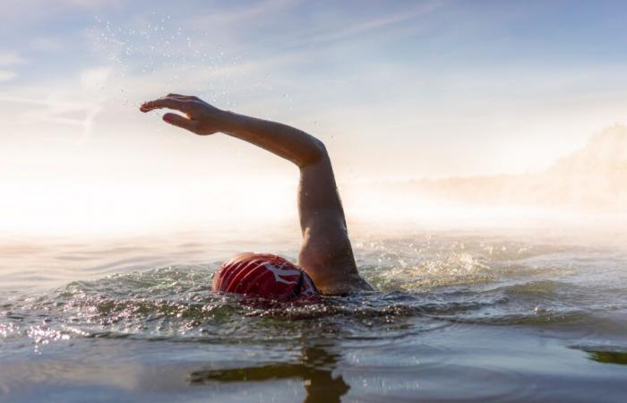 Una nueva generación de robots acuáticos bate récords de velocidad en natación