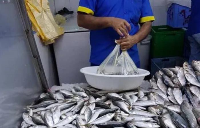 El continuo aumento de los precios de las sardinas en los mercados pesa sobre los marroquíes