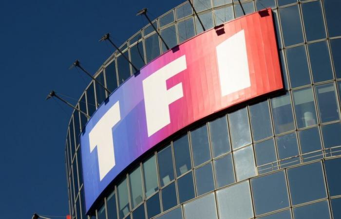 TF1: ahora es imposible reproducir anuncios desde tu caja de Internet