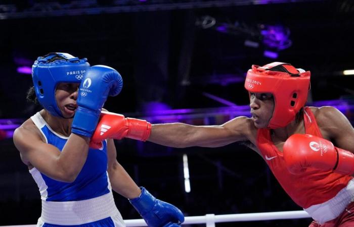 Dominique Nato reelegido presidente de la Federación Francesa de Boxeo