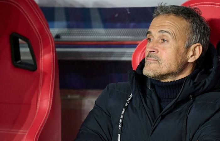 Ligue 1: con el PSG, Luis Enrique vive la “mejor” temporada de su carrera