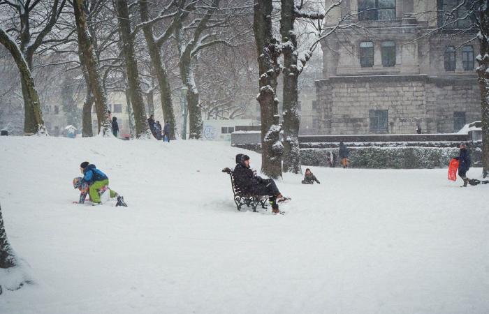 Se pronostica nieve en Bélgica: ¿qué debemos esperar?