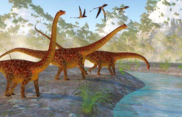 “Un descubrimiento sorprendente…” Lo encontrado en estos excrementos de dinosaurios no se esperaba