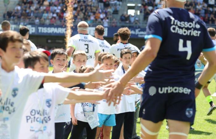 MHR – Águilas pescadoras: alrededor del partido – Montpellier Hérault Rugby