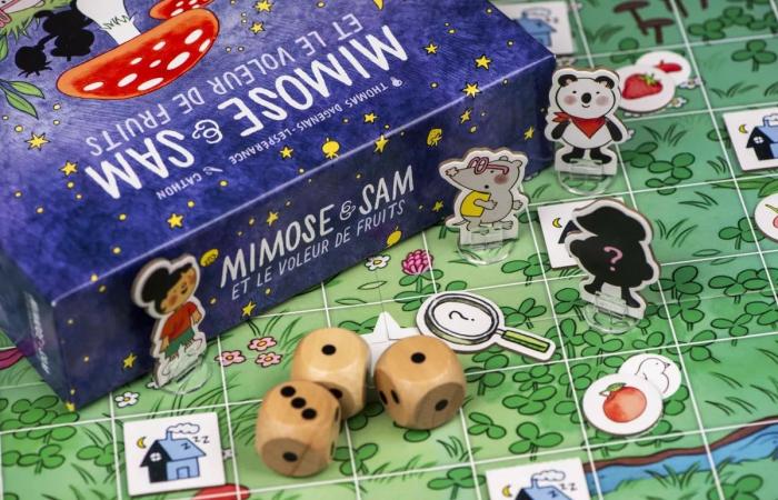 13 sugerencias para “jugar a quebequés”