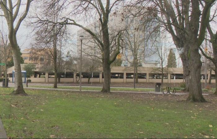 El parque del norte de Portland recibe apoyo de la ciudad para mejoras de seguridad