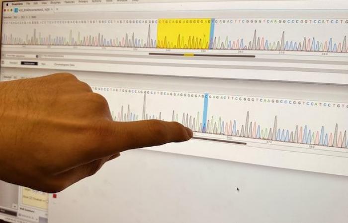 La tecnología genómica mejora el tratamiento de enfermedades en Calgary