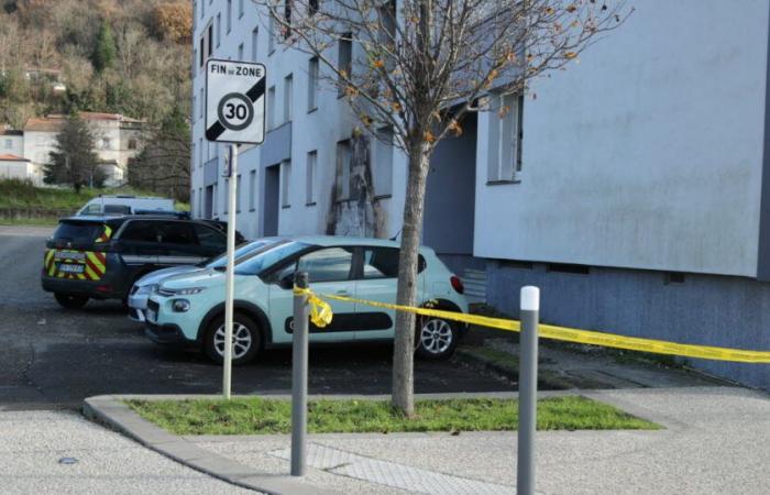 Drome. Muerte de un joven en medio de violencia doméstica en Saint-Vallier