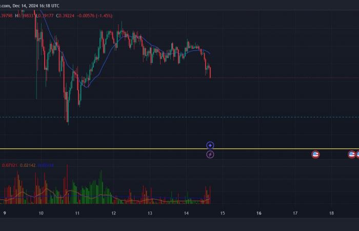 ¡El precio de DOGE podría caer a este nivel!