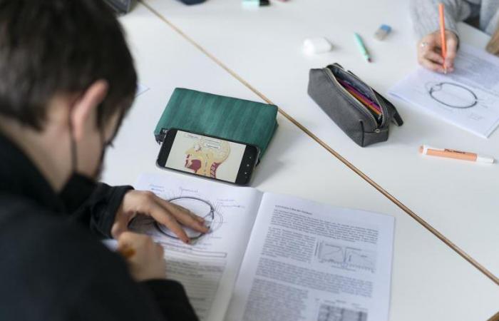 Prohibir los teléfonos inteligentes en la escuela: el 82% de los suizos dice que sí