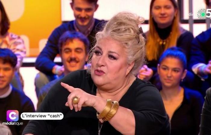 “Cuatro y ceros detrás”: Marianne James habla del salario “de oro” que recibió en el programa Nouvelle Star