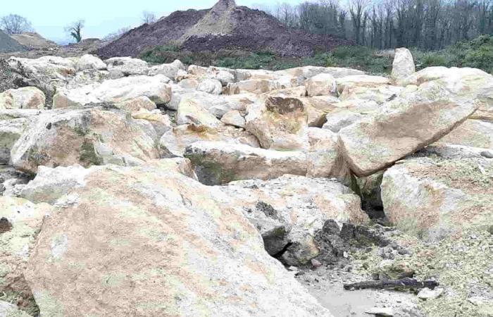 Fotos exclusivas de la “meseta agrícola/vertedero” de Nogent-sur-Oise