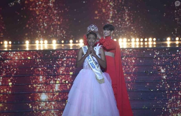 Una ex Miss Francia, enojada por los resultados, ataca a ciertos espectadores