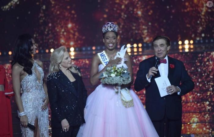 Una ex Miss Francia, enojada por los resultados, ataca a ciertos espectadores