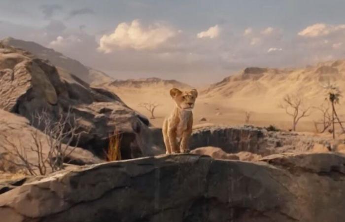 “Mejor que la versión 2019”: los primeros espectadores de Mufasa: El Rey León dan su opinión (¡y están locos!)