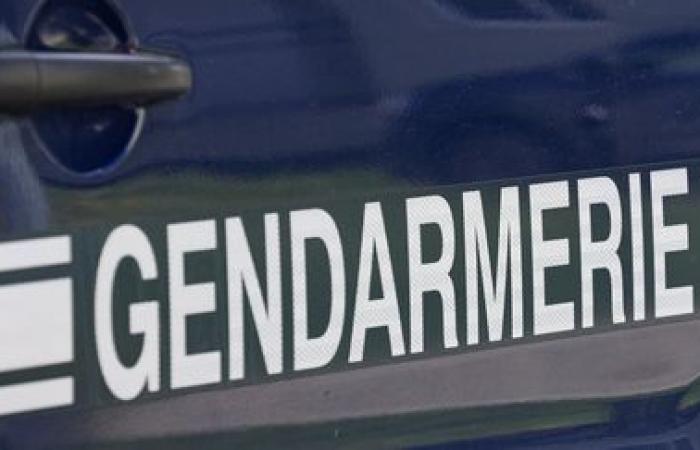 Un hombre asesinado con cuchillo en Saint-Vallier, en Drôme, su vecino bajo custodia policial, se abre una investigación por asesinato