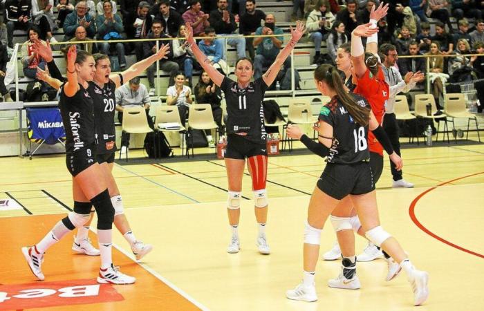 Liga A: carácter, relajación y una gran victoria para Quimper Volley