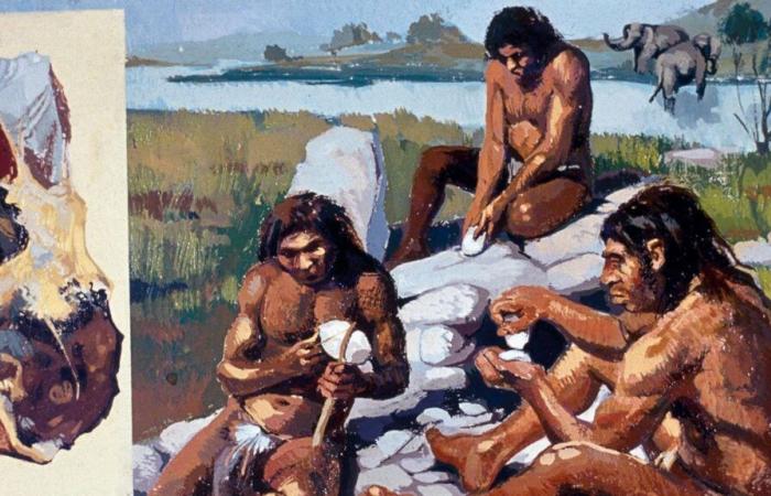 Los neandertales vivieron con nosotros durante 7.000 años