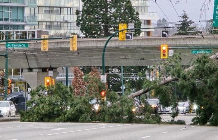 Un muerto y una casa derribada por fuertes vientos en B.C.