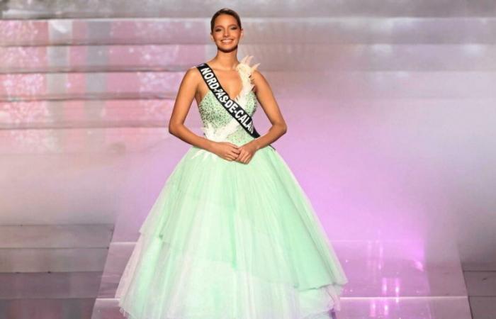 el voto del público fue a favor de Miss Nord-Pas-de-Calais