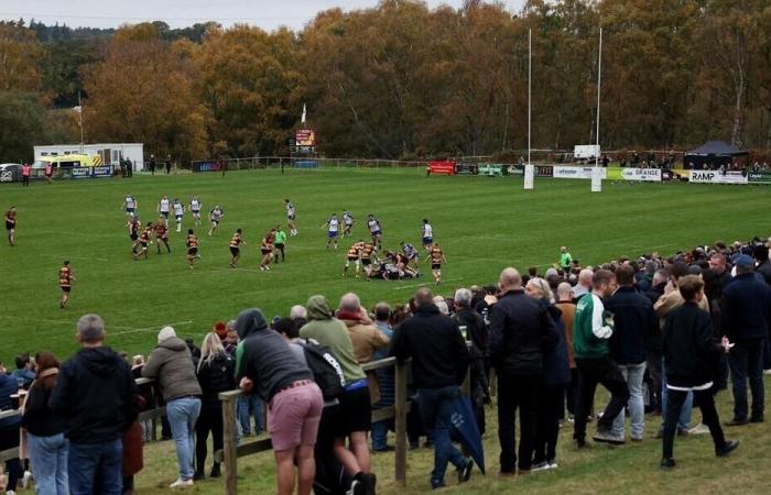 Rugby. En Inglaterra, un partido fue detenido después de que un árbitro resultó herido. Deporte